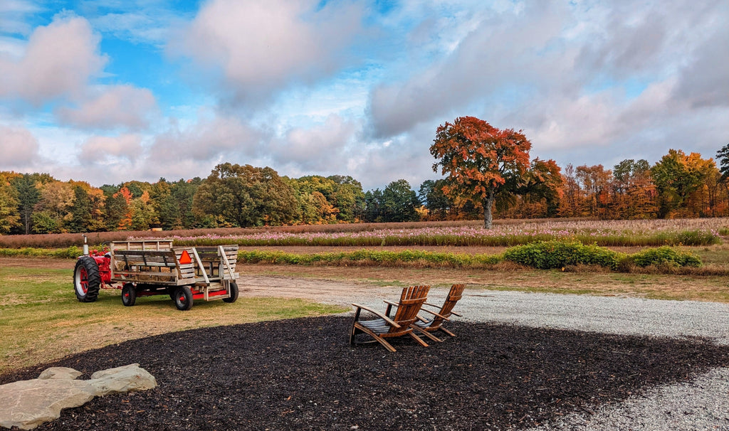 Fall at Tanglewood Winery.